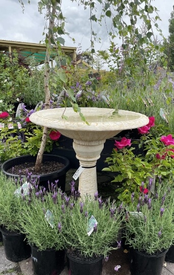 bird bath - Garden Design Geelong