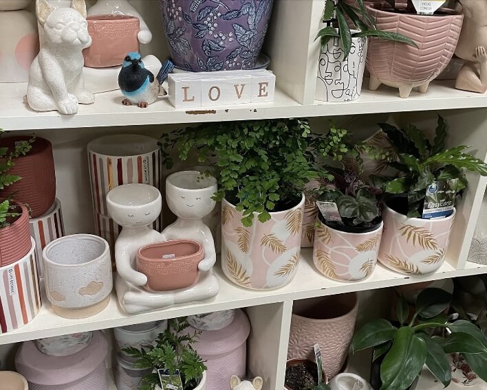 Pastel ceramic pots - Plant Pots Geelong