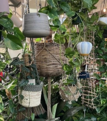 hanging pots - Plant Pots Geelong