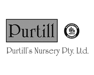 Purtil Nursery